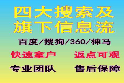 专业SEM代运营托管公司案例分析